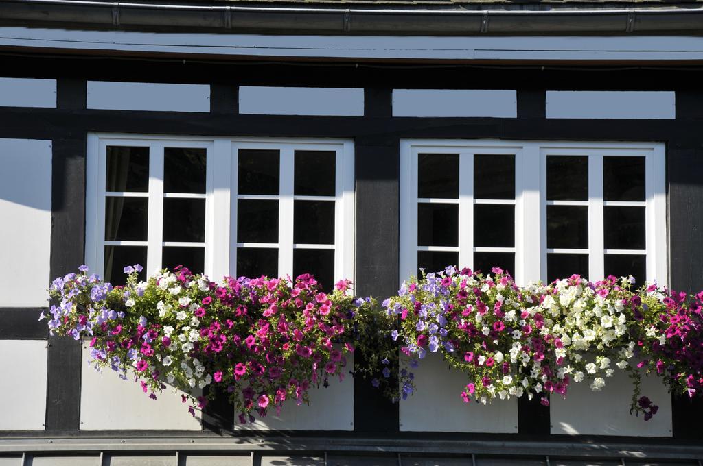 Landidyll Hotel Haus Hochstein Eslohe Luaran gambar